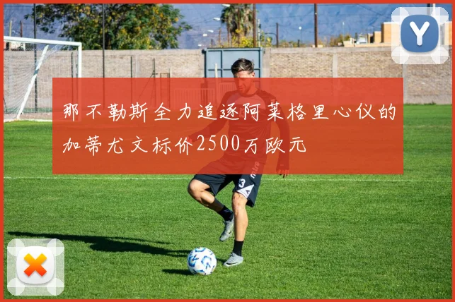 那不勒斯全力追逐阿莱格里心仪的加蒂尤文标价2500万欧元